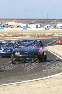 media/Jan-25-2025-CalClub SCCA (Sat) [[03c98a249e]]/Race 4/